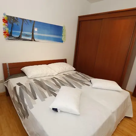 Bojan With Terrace And Sea View *